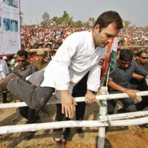 Congress 'primary': Another exercise in failure for Rahul Gandhi?