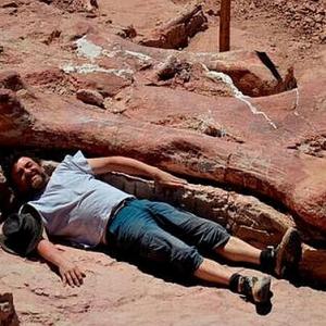 PHOTOS: World's BIGGEST dinosaur discovered