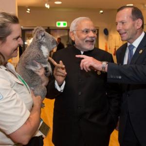 When a cuddly koala bear charmed PM Modi