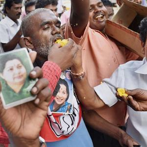 It's an early Diwali for Jaya's supporters