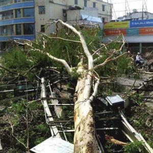 Storm in Bihar kills 54; compensation of Rs 4 lakh announced