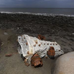 MH370: Window panes, aircraft cushions washed up, says Malaysia