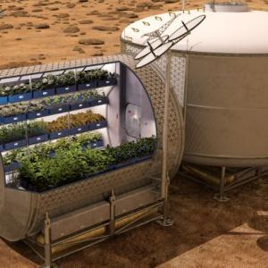 What's for dinner? Astronauts to feast on space-grown vegetables