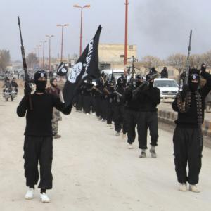 NIA continues crackdown, 14 more Islamic State supporters arrested