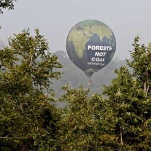 'Why are politicians handing over our forests to corporates?'
