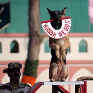 Elite dogs to guard Delhi when Obamas come visiting