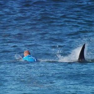 Jaw-dropping moment surfer survives shark attack