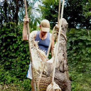 20,000 crocs in 37 years: Meet the real Crocodile Hunter