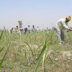 Punjab farmer who met Rahul Gandhi recently commits suicide