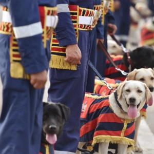 PHOTOS: Meet Delhi Police's cutest new recruits