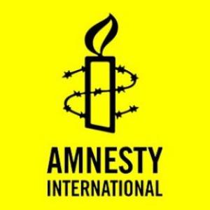 After sedition charges, Amnesty to face MHA probe for 'possible' FCRA violation