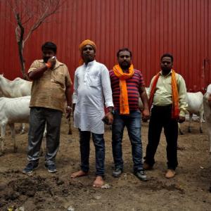 'We want to pay respects to gau rakshaks who faced bullets'