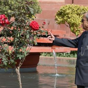 PHOTOS: Welcome to the President's majestic Mughal Garden