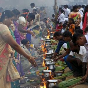 Pongal celebrated with fervour across country