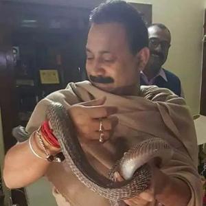Bihar education minister's 'ritual' with snakes goes viral