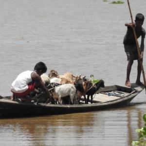 PIX: Assam reels under flood