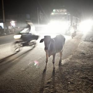 Mob thrashes 2 women in Madhya Pradesh over beef rumour
