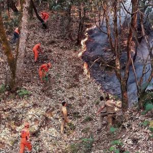 'Uttarakhand forest fires to be doused in 2 days'