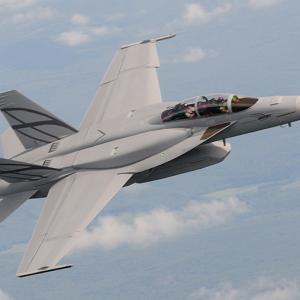 Will Super Hornets bridge IAF's 200-aircraft gap?