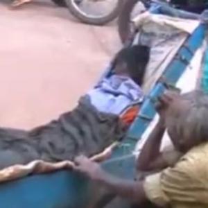 No money for ambulance, beggar pushes his dead wife's body on cart for 60 km