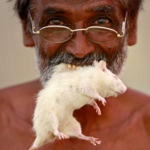 Eating mice, shaving heads: What TN farmers have been doing at Jantar Mantar