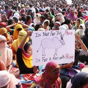 Jallikattu: Protests intensify, OPS ponders over options, PETA warns Centre