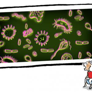 Pune scientists discover new germs on cell phones