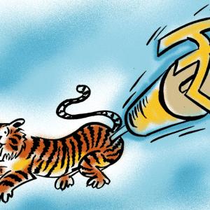 At 8.2% GDP growth India Inc sees a crouching tiger