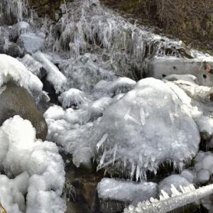 Cold wave intensifies in Kashmir; Leh shivers at minus 17.1 Celsius