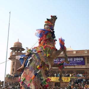 Different Indias on a flight to Bikaner