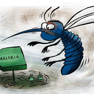 How can India rid itself of malaria?