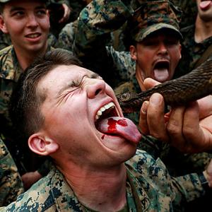 Why are these soldiers drinking a cobra's blood?