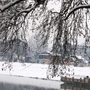 PHOTOS: A white, wonderful Kashmir!