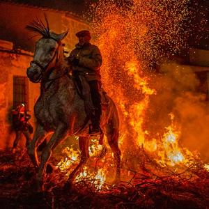 PHOTOS: Horses purified by fire at Spanish festival