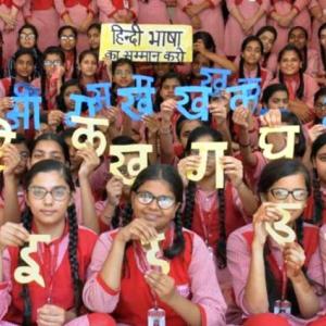 'Hindi not our mother tongue, don't incite us'