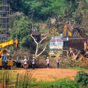 Aarey row: When 3,000 trees don't make a forest