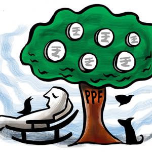 Explained: Why you must invest in PPF