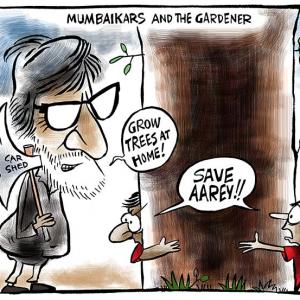 Save Aarey: Mumbaikars and the gardener