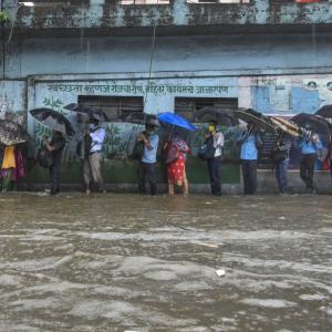 Mangroves destruction causing Mumbai flooding: Experts
