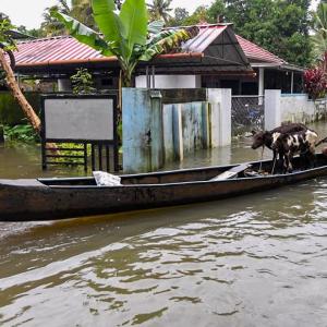 Rains continue in Kerala; landslide toll touches 43