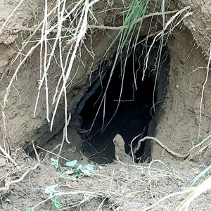 BSF detects 20-ft-long tunnel along India-Pak border