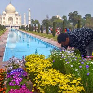 Taj Mahal gets a makeover before Trumps visit Agra