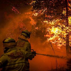 PHOTOS: Horror of Australia's wildfires emerge