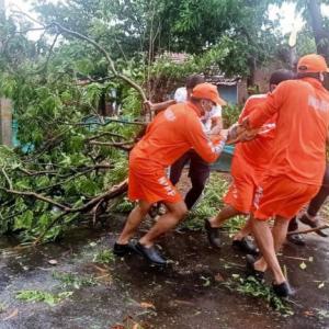 Restoration work begins post Cyclone Nisarga