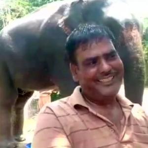 Bihar man wills half of his property to 2 elephants