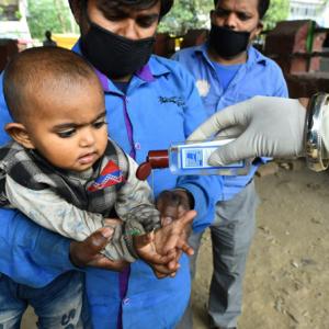 649 coronavirus cases in India, 13 deaths