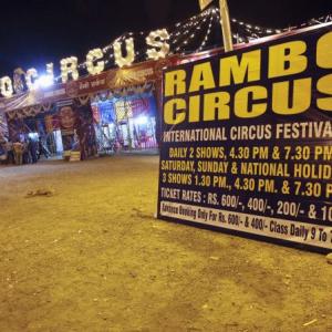 For struggling circuses, Covid-19 comes as final blow
