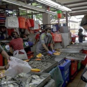 'Wuhan wet market might not be origin of COVID-19'