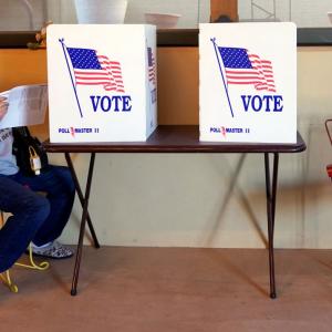 US polls saw highest voter turnout rate in 120 years