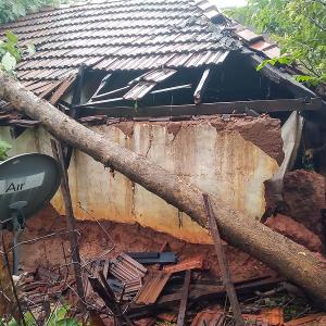 3 killed, over 1,000 trees uprooted as Nivar hits TN